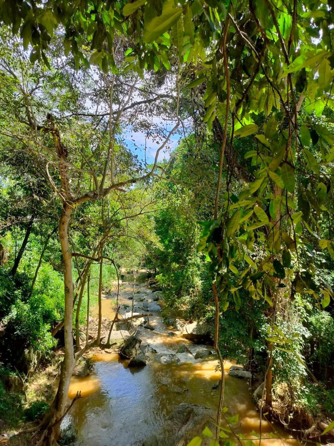 Maesa Greenery Hill Sha Mae Rim Exteriér fotografie